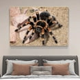 thumbnail image 4 of Mexican Red Knee Tarantula Spider Canvas Poster Bedroom Decor Sports Landscape Office Room Decor Gift,Frame-style,08x12inch(20x30cm), 4 of 8
