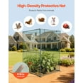 thumbnail image 4 of VEVOR Crop Cage, 3.9 x 3.9 x 5.9 ft Plant Protection Tent with Zippered Door, Wind-Resistant Tall Crop Cage, Easy to Install, Outdoor Raised Bed Cover, Tomato Plant Netting for Garden Patio Lawn, 4 of 9