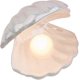 thumbnail image 1 of Shell Pearl Design Night Light Bedside Night Lamp(white), 1 of 5