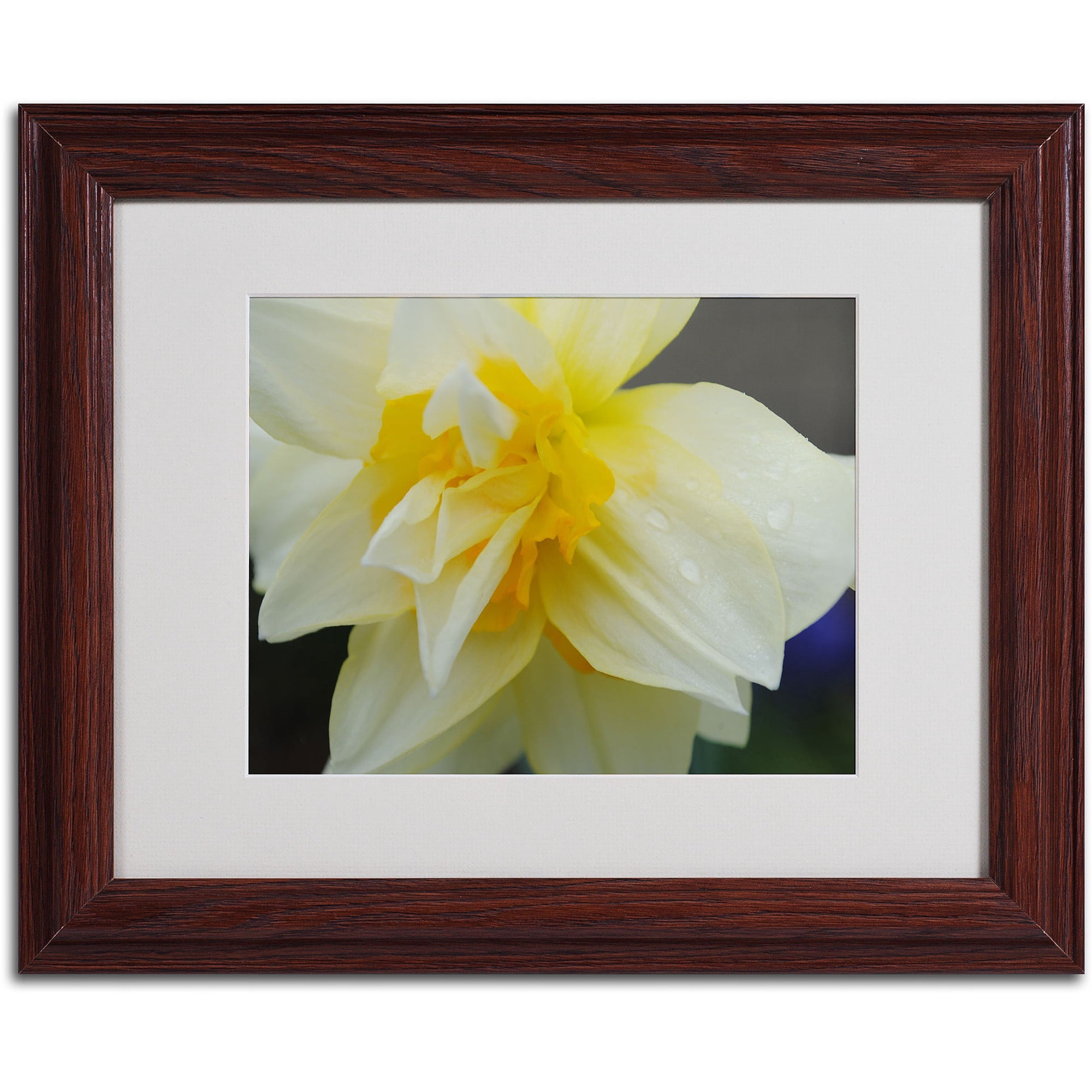 Trademark Fine Art "Sparkling Truth" by Monica Fleet, Wood Frame