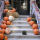 thumbnail image 1 of BESTYASH 1Ud De Calabaza Con Acabado De Alta Calidad Para, 1 of 6