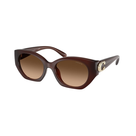 Sunglasses Coach HC 8407 U 584174 Cw194 Milky Hazelnut Brown Gra