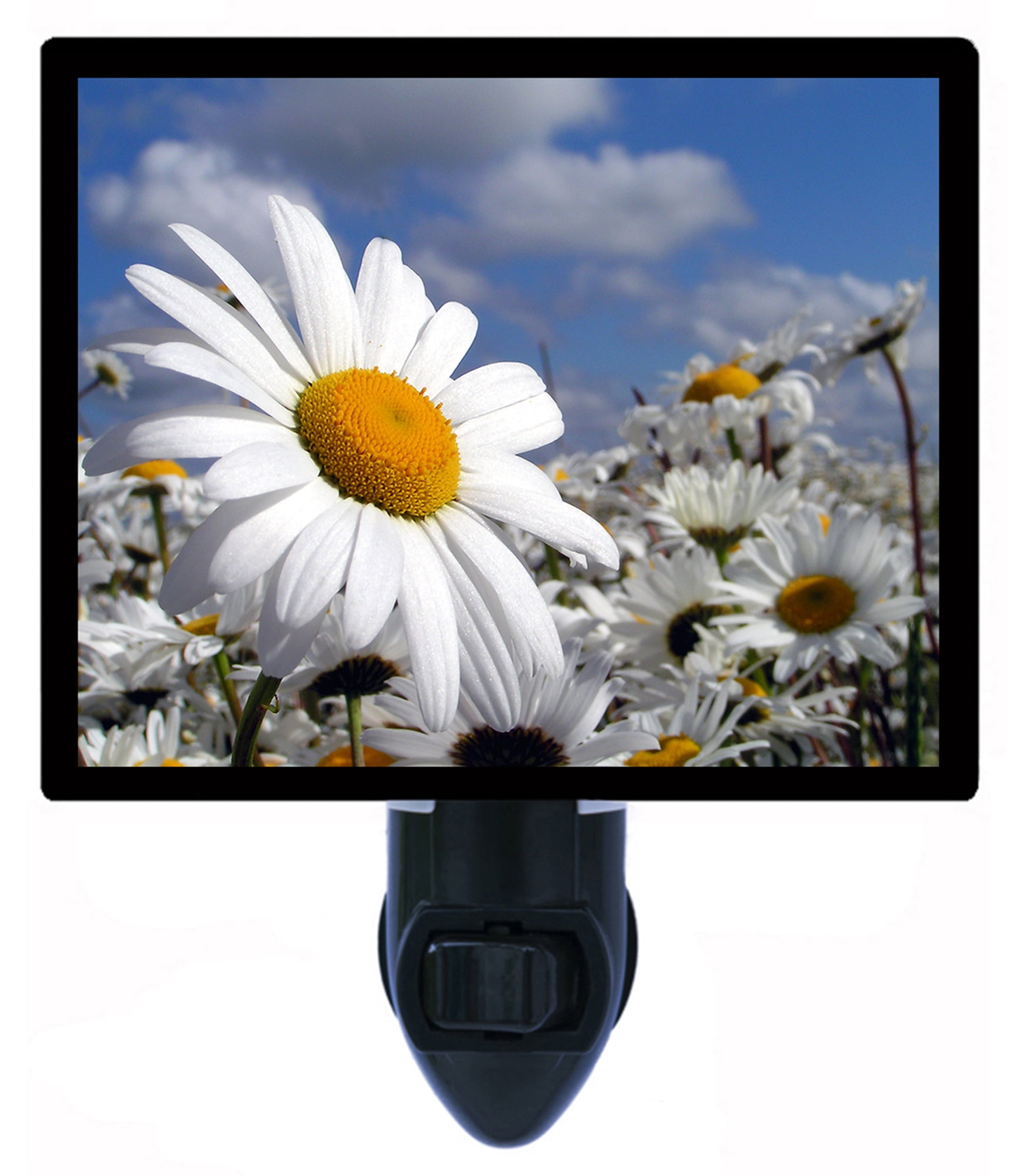 Night Light, Photo Light, Daisy Garden, Spring Flowers Plus One Extra