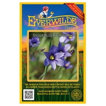 Everwilde Farms - 150 Stout Blue-Eyed Grass Native Wildflower Seeds - Gold Vault Seed Packet
