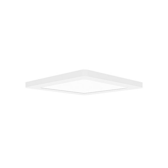 Access Lighting Dual Voltage LED Flush Mount in White Color