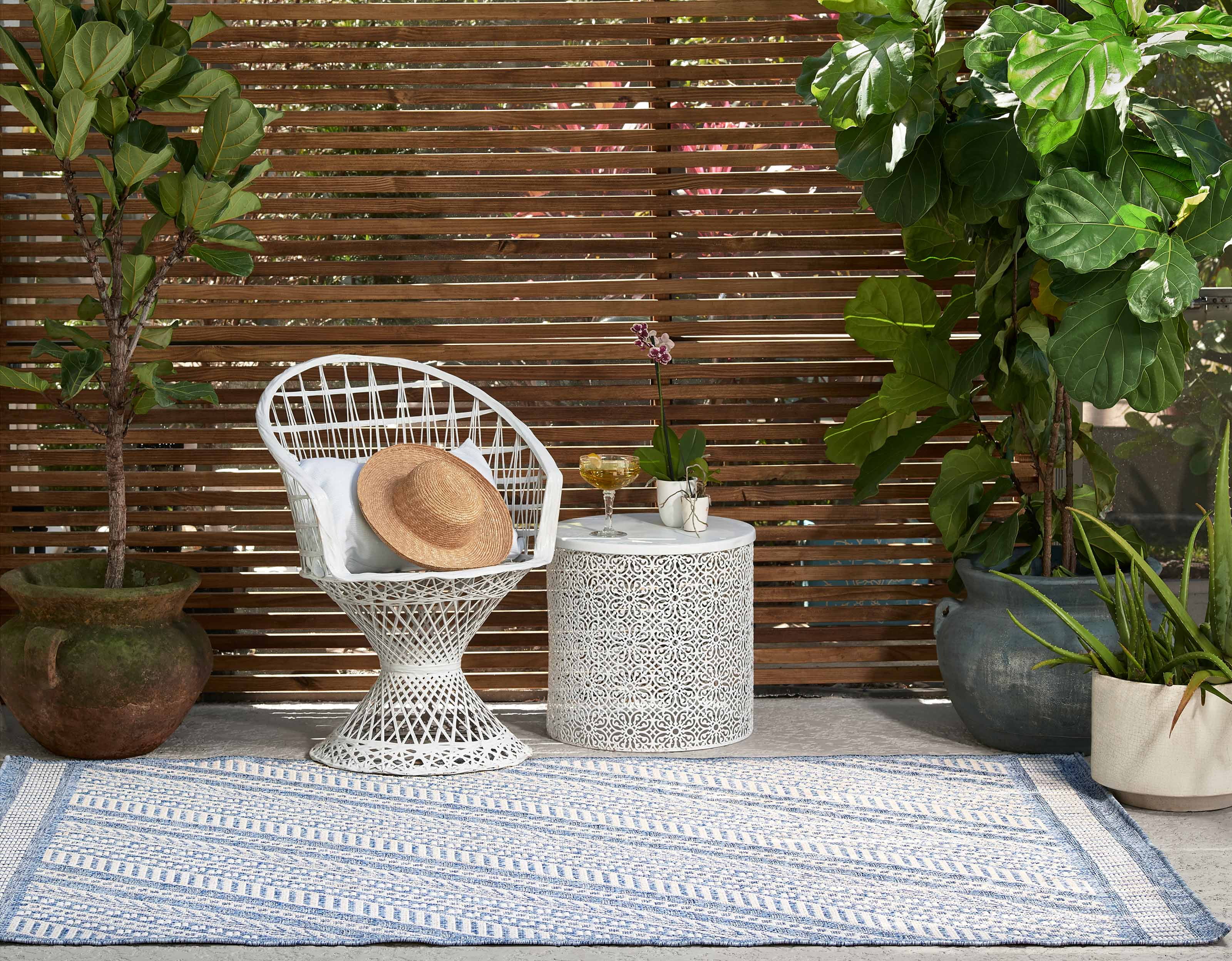 ECARPET Livia Transitional Area Rug for Living Room, Bedroom, Dining Room, Entrance, Hallway and More.