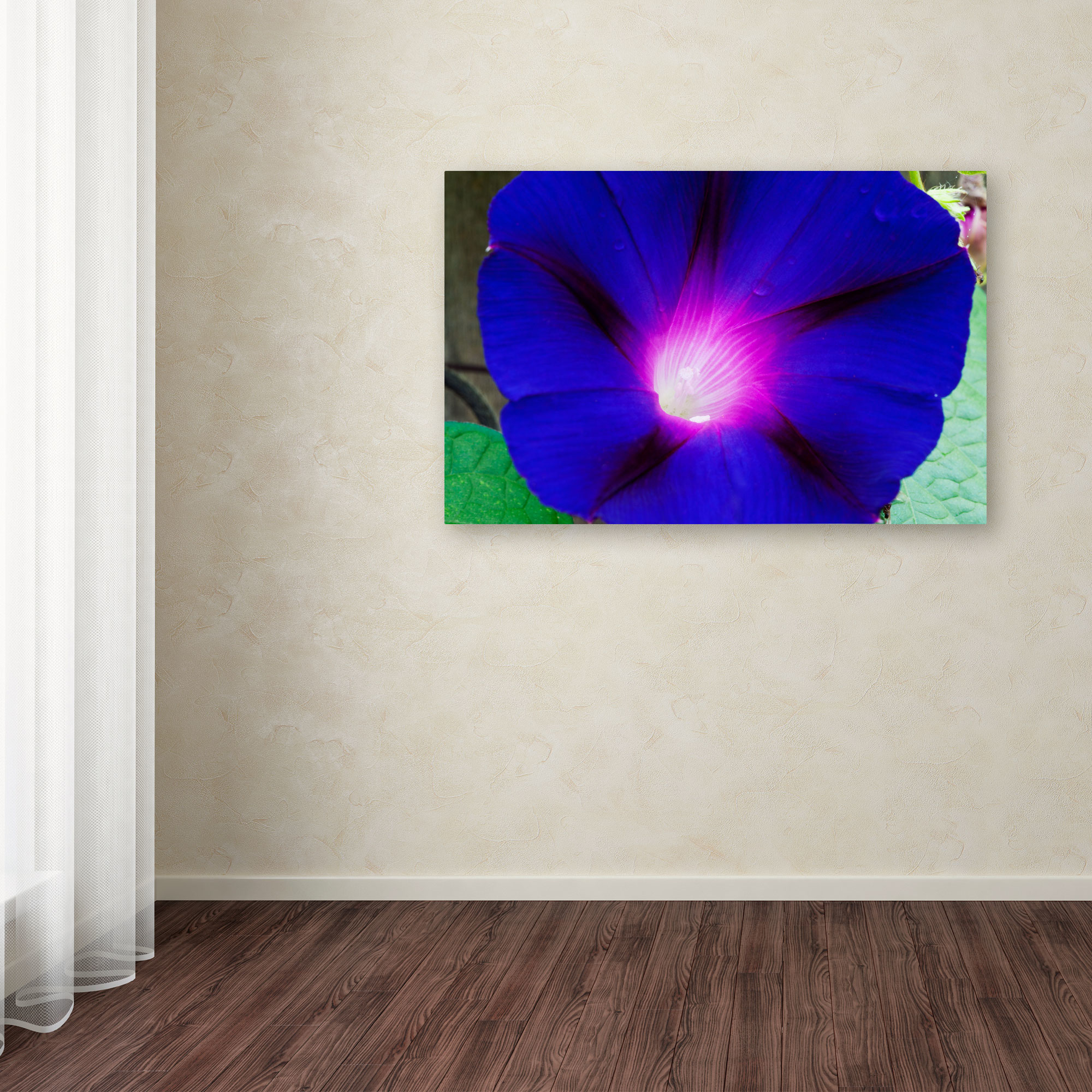 Trademark Fine Art "Deep Blue Morning Glory" Canvas Art by Kurt Shaffer