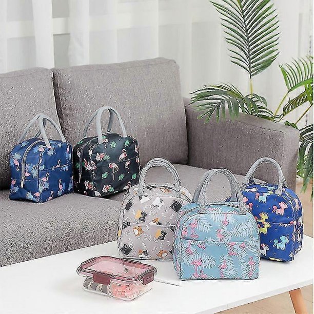 Bolsa de almuerzo, bolsa de mano, bolsa térmica, resistente al agua, térmica, a prueba de fugas, organizador de almuerzo para picnic al aire libre y trabajo.