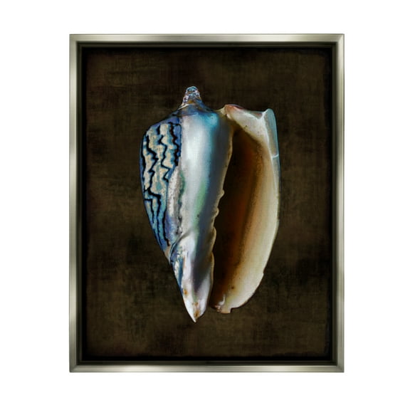 Stupell Industries Dark Conch Shell Nature Painting Gray Floater Framed Canvas Art Print Wall Art, 25 x 31