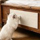 thumbnail image 4 of Rascador de Pared para Gatos: Alfombrilla Alta Antideslizante para Que Tu Gatito Arañe, Juguete Multifuncional para Gatos de Interior Que No Acumula Residuos., 4 of 6