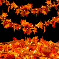 thumbnail image 1 of Guirnalda de luces de otoño Meknow de Fall Decor de 9 pies con 50 bombillas naranjas, 1 of 8