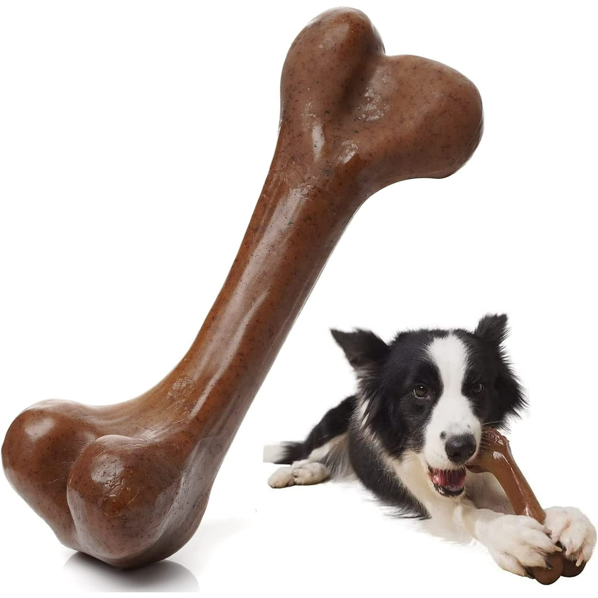 Dog aggressive with bone best sale