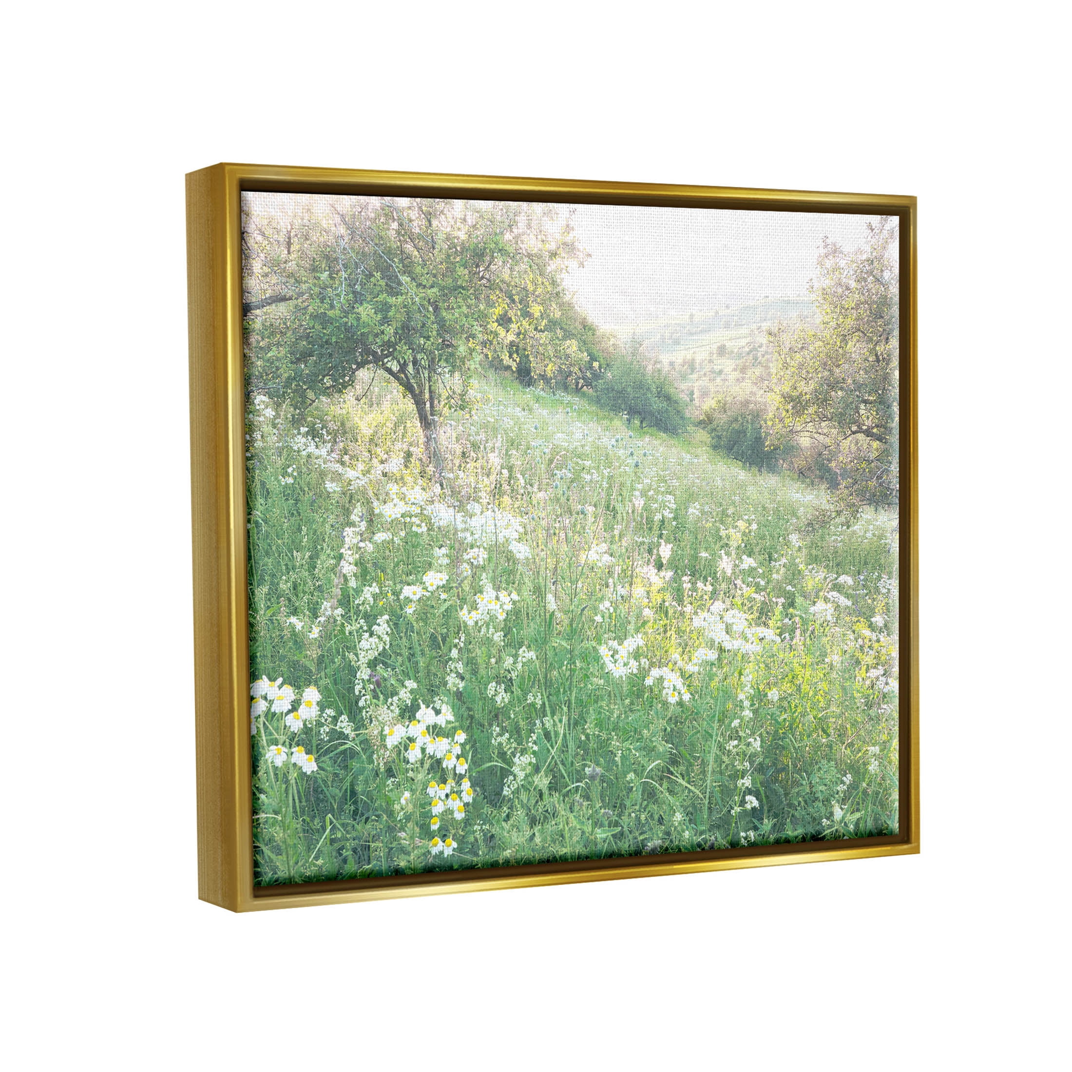 Spring Meadow Grassland Field Landscape Photograph Metallic Gold Framed Art Print Wall Art
