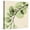 Canvas, variant on Art.com Mint Eucalyptus 1 Stretched Canvas Print Wall Art by Albert Koetsier, 16" x 16"