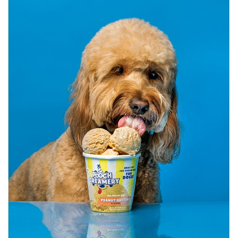 Pooch Creamery Ice Cream Mix for Dogs Peanut Butter Flavor
