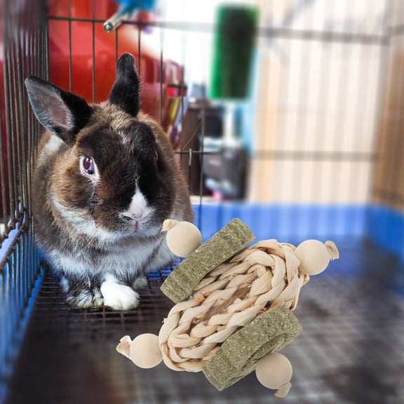 Natural Handmade Chew Toys for Teeth Grinding, Small Pets Treats for Guinea Pigs, Hamsters, Chinchillas, and Other Small Animals
