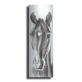thumbnail image 1 of Luxe Metal Art 'Le Cheval Noir Horse Panel' by Alan Majchrowicz, Metal Wall Art, 16"x48", 1 of 7
