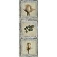 thumbnail image 2 of Pinto, Patricia 9x18 Gold Ornate Wood Framed with Double Matting Museum Art Print Titled - Flowers and Leaves III, 2 of 4