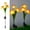 Clear, variant on 50% 0ff Clearance! Solar Powered Flower Lamp Flower Stake LED Lights, 3 Head Outdoor Daffodil Garden Lights Decorative Stake Lights For Garden Yard