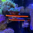 thumbnail image 6 of Acrylic Coral Base,Glowing,Suitable For Aquariums,Durable Coral Rack With Suction Cups,Suitable For Soft Coral Fragments,Single Unit Design., 6 of 6