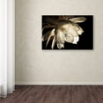 thumbnail image 3 of Trademark Fine Art "Midnight Portrait" Canvas Art by Kurt Shaffer, 3 of 3
