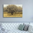 thumbnail image 5 of Epic Graffiti 'Golden Trees I' by James Wiens, Canvas Wall Art, 60"x40", 5 of 8