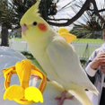 thumbnail image 4 of Long Cable Bird Harness Decorative Lightweight Parakeet Parrot Vest Rope For Bird, 4 of 5