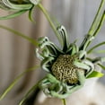 thumbnail image 3 of Faux Silk Artificial Sunflower Stem in Green 39" Tall Colored Art, 3 of 3