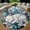Cat3, variant on Round Area Rug, Book Lover Non-Slip Floor Mat, Soft Washable Carpet for Living Room Bedroom Decor 24 Inch