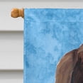 thumbnail image 3 of Carolines Treasures SC9078CHF Welsh Springer Spaniel Flag Canvas - House Size, 3 of 4