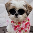thumbnail image 3 of Gafas de Sol Estilo Vault G016 para Perros de Razas Pequeñas hasta 7 kg, 3 of 8