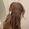 thumbnail image 4 of Hair Clamp Clip Fashion: 2PCS Fake Opal Small Hair Catch Barrette Hair Accessory, 4 of 10