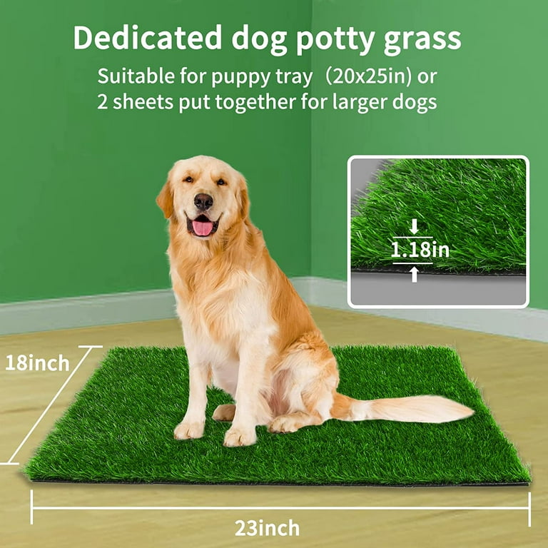 Fake puppy grass online
