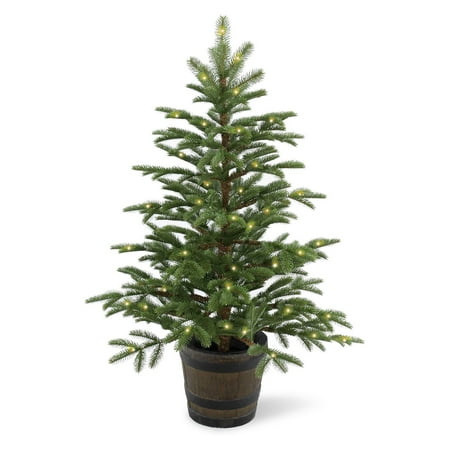 4' Norwegian Spruce Entrance Tree with Clear Lights