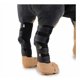 thumbnail image 3 of Rodilleras para mascotas con barras de soporte, protectores de piernas para perros, Protector de piernas para perros, cubierta para lesiones de mascotas para cirugía de perros (negro S) ER, 3 of 5
