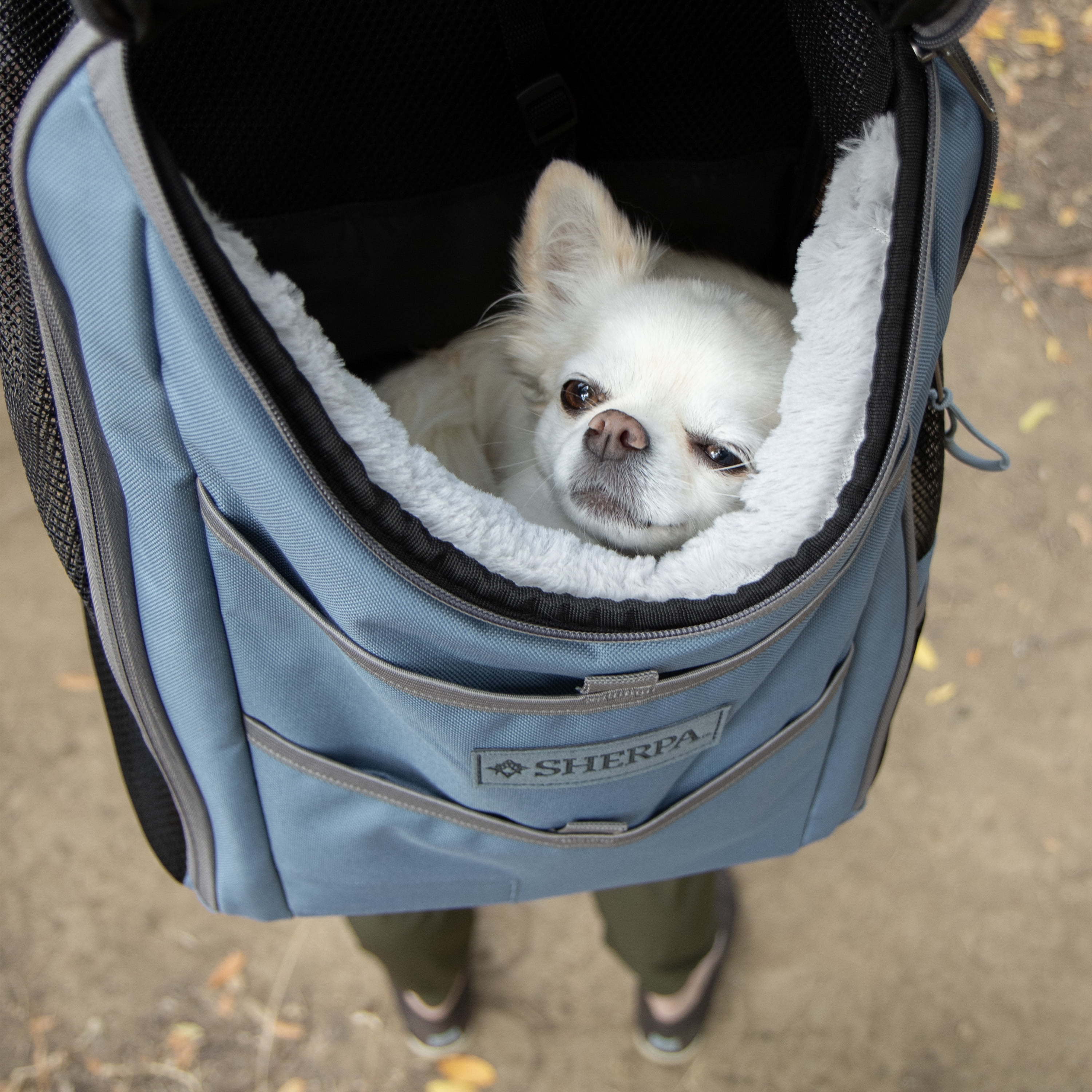 Sherpa Elevation Pet Backpack for Cats & Dogs - Blue, Medium