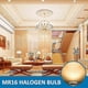 thumbnail image 3 of MR16 Halogen Bulb GU5.3 Base, 50W 12V Dimmable Warm White 2700K, 800 Lumens, Spotlight for Recessed Lighting, Pack of 6, 3 of 4