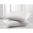 thumbnail image 2 of Pillowtex ® Premium Polyester Fill Standard Size Pillow, 2 of 6