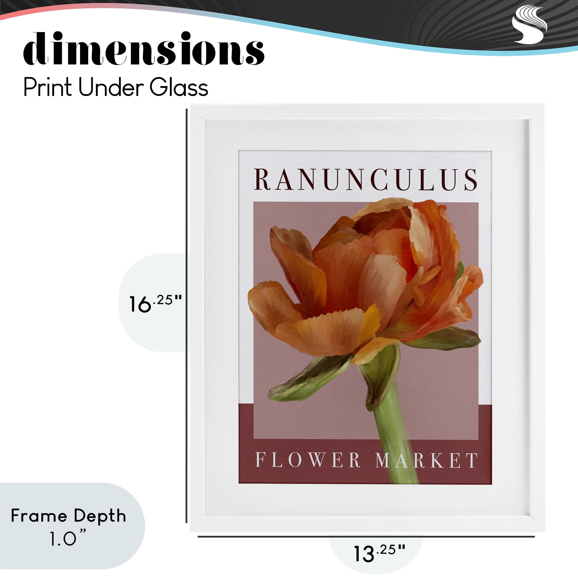 Stupell Industries Ranunculus Flower Market White Framed Print Under Glass, design by Jennifer Stith