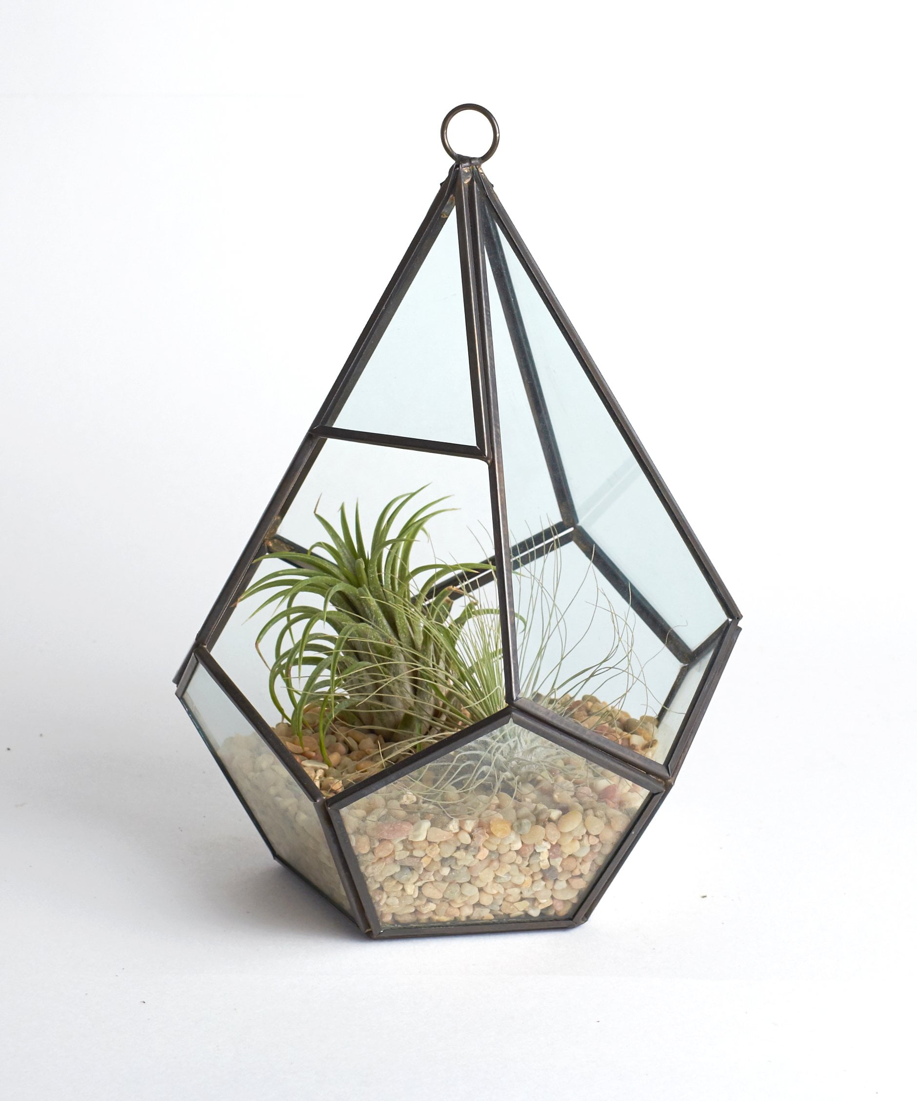 Home Botanicals Geometric Teardrop Terrarium with Air Plants Walmart