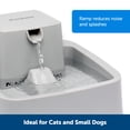 thumbnail image 4 of Fuente de agua PetSafe Drinkwell para gatos y perros pequeños, 4 of 6