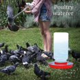 thumbnail image 2 of Chicken Waterer Poultry Feeder Chick Feeder Waterer Tools Chicken Duck Quail Poultry Feeder Chicken Waterers Feeder, 2 of 4