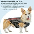 thumbnail image 3 of Duuclume IVDD Back Brace for Dogs, Pet Dachshund Back Supporting Vest, Canine Dog Back Bracer, L, 3 of 6
