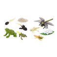thumbnail image 1 of Juego de crecimiento de insectos para niños,Material didáctico del ciclo de crecimiento de la libélula animal,Juguetes de libélula animal de imaginación cognitiva para niños,Accesorio del, 1 of 9