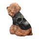 thumbnail image 5 of Balery Gold Pattern Skull Sudadera con Capucha para Perros Pequeños – Ropa para Mascotas, Disfraz para Perros y Gatos, Ideal para Fiestas y Cosplay-X-Large, 5 of 7