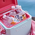 thumbnail image 6 of Hint Bottled Water, Raspberry - Purified Flavored Water with Zero Calories, Sugar Free, Natural Flavors - 16 fl oz (Pack of 12), 6 of 7