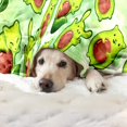 thumbnail image 4 of Avocado Blanket, Kawaii Avocado Cute Animals Gifts for Women Adult Throw Blanket Bedding Room Decor Flannel Blanket Soft Plush Warm Fleece Blankets&Throws for Couch Living Room 60"x50", 4 of 6