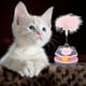 thumbnail image 4 of Juego Interactivo De Juguetes Para Gatos Con Pista Varita Y Vaso Juguetes Para Gatos De Interior Aburrimiento, 4 of 6