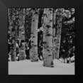 thumbnail image 2 of Phillip, Jamie 12x12 Black Modern Framed Museum Art Print Titled - Winter Wood, 2 of 5