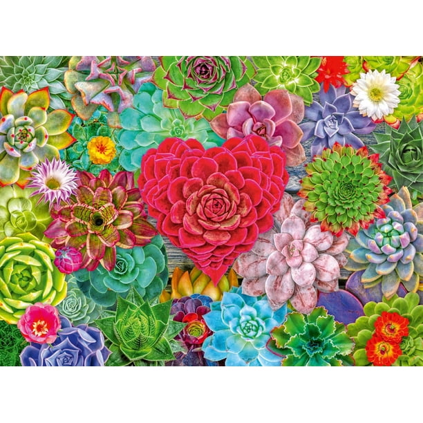 Rompecabezas Ravensburger Succulent Love 500 piezas